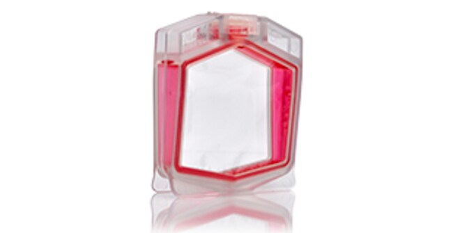 Slide-A-Lyzer&trade; G3 透析盒，3.5K MWCO