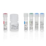 MycoSEQ&trade; Plus 支原体检测试剂盒