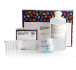 Pierce&trade; BCA Protein Assay Kits