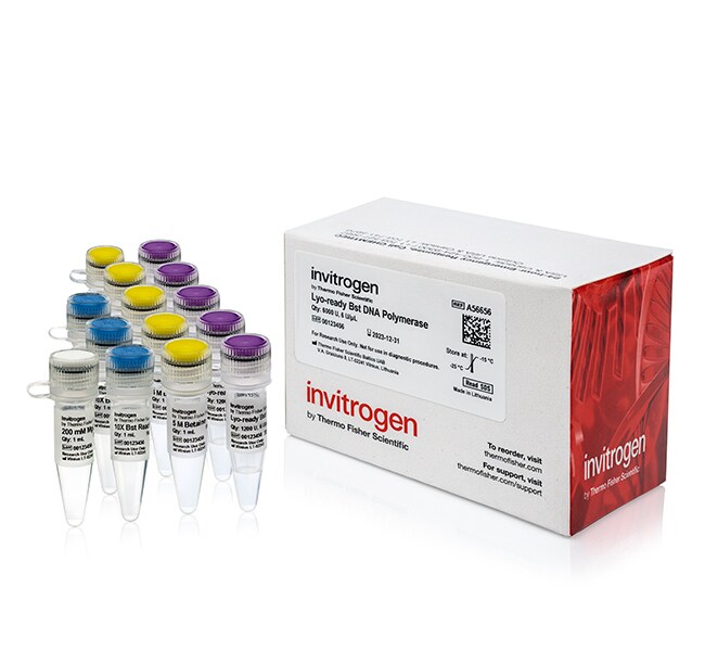 Lyo-ready Bst DNA Polymerase