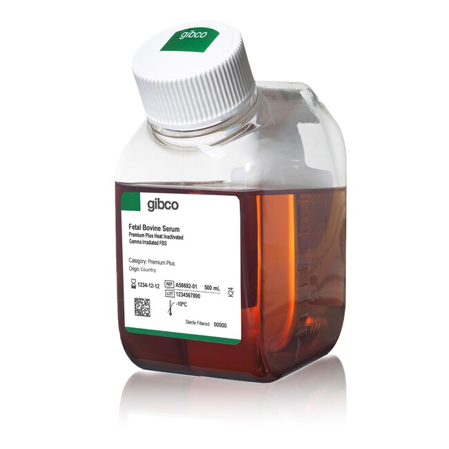 Fetal Bovine Serum, Premium Plus