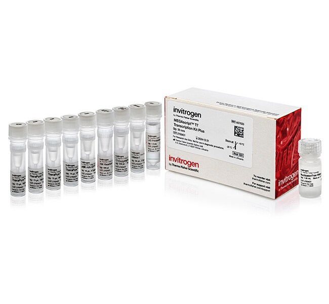 MegaScript™ T7 Transcription Kit Plus