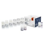 MagMAX&trade; Pro HT NoSpin Plasmid MiniPrep Kit