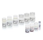 MagMAX&trade; Pro HT NoSpin Plasmid MiniPrep Kit