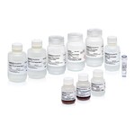 MagMAX Pro HT NoSpin 质粒小量制备试剂盒