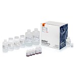 MagMAX Pro HT NoSpin 质粒小量制备试剂盒