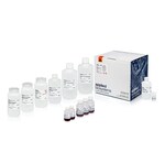 MagMAX&trade; Pro HT NoSpin Plasmid MiniPrep Kit