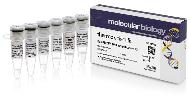 EquiPhi29™ DNA Amplification Kit