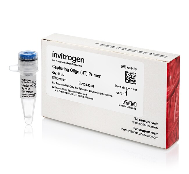 Template Switching Reverse Transcription Oligonucleotides