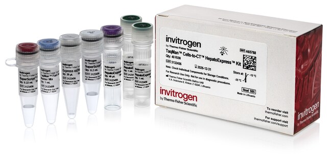 TaqMan™ Cells-to-CT™ HepatoExpress™ Kit