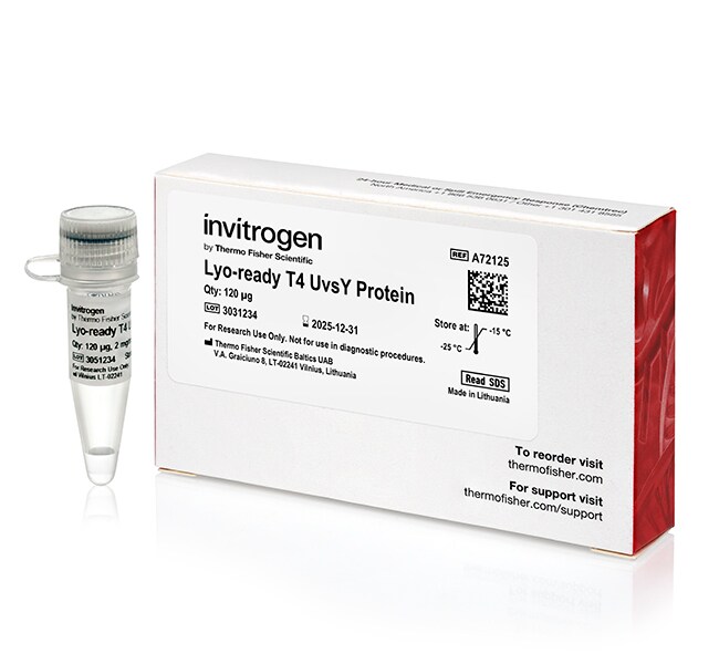 Lyo-ready Enzymes and Reagents for Recombinase Polymerase Amplification (RPA)