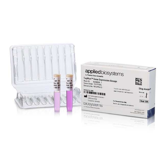TaqMan™ 基因表达Assay (FAM)
