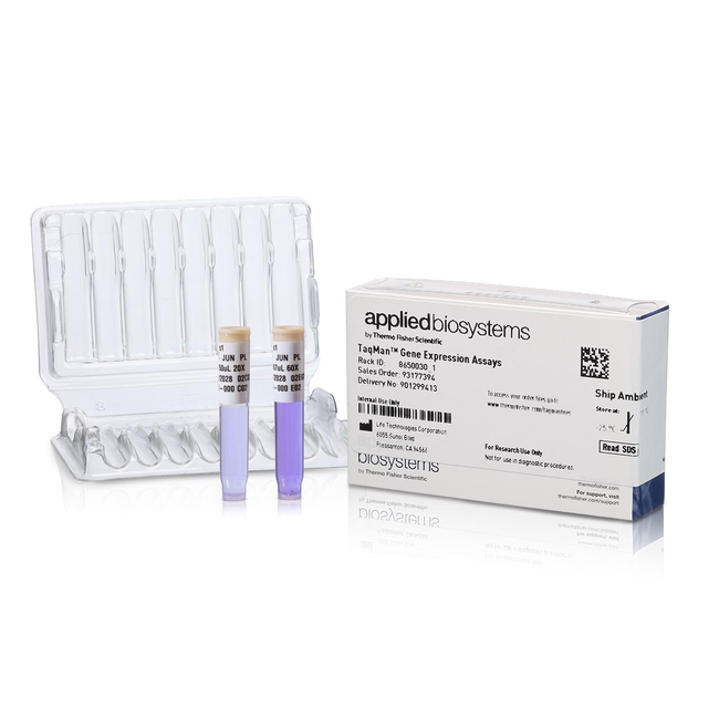 TaqMan™ 基因表达Assay (FAM)