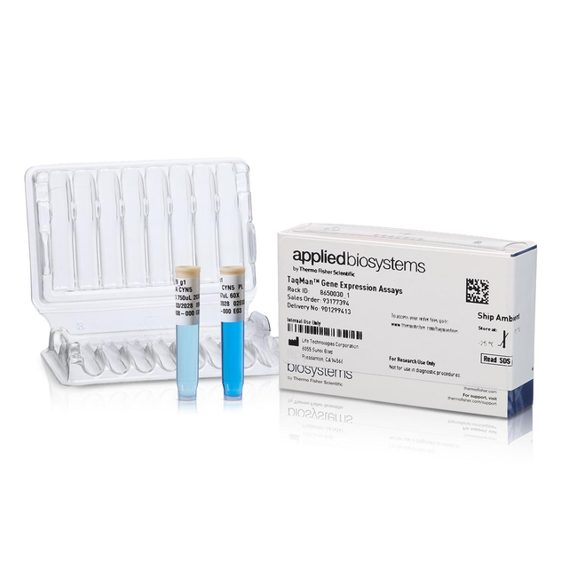 TaqMan™ 基因表达Assay (FAM)