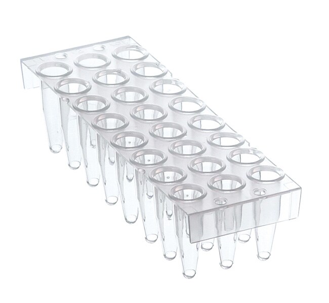 Thermo-Fast PCR Plate, 24-well