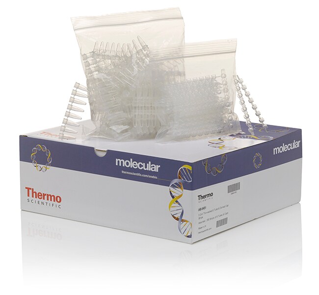 管和圆顶盖，8 联排