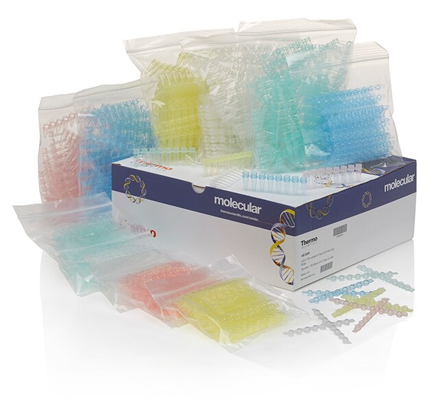 Tubes and Domed Caps, strips of 8, assorted colors