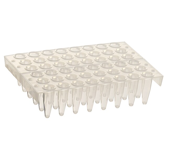 Thermo-Fast PCR Plate, 48-well, clear