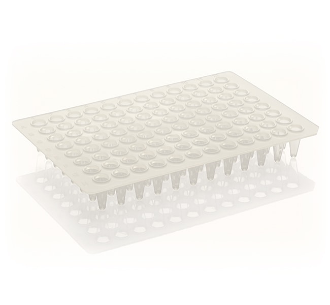 PCR 板，96 孔，低容，无裙边，黑色印字