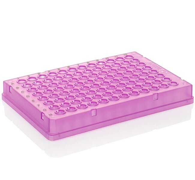 PCR Plate, 96-well, low profile, skirted, black lettering, purple