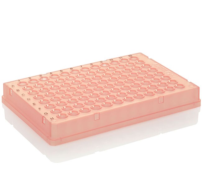 PCR 板（96 孔，矮型，裙边，黑色印字，红色）