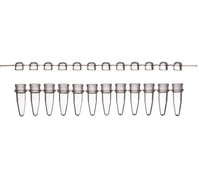 Tubes and Domed Caps, strips of 12