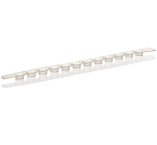Flat PCR Caps, strips of 12