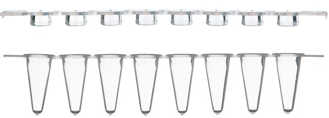 0.2mL 透明 8联排管,含平顶盖