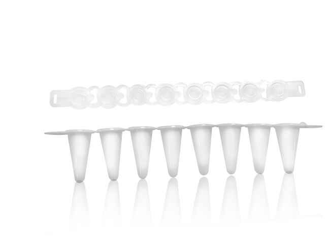 0.2mL 白色 8联排管,含超透明盖