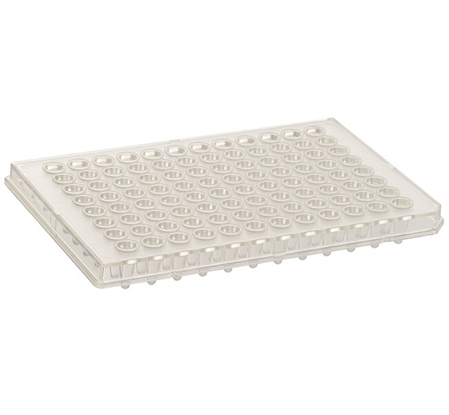 Armadillo PCR Plate, 96-well, clear, semi-skirted, low profile, clear wells