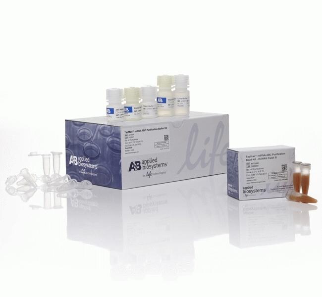 TaqMan&trade; miRNA ABC Purification Kit - Human Panel B