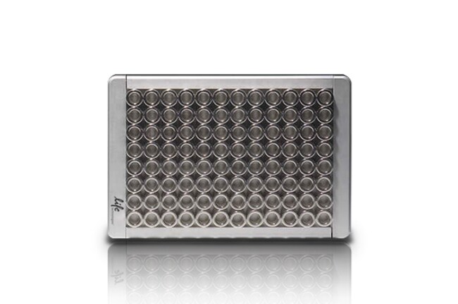 磁环支架（96 孔）