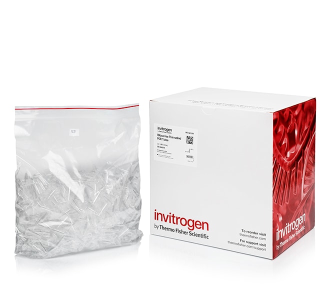 薄壁、圆顶盖、无 RNase PCR 管 (0.5 mL)