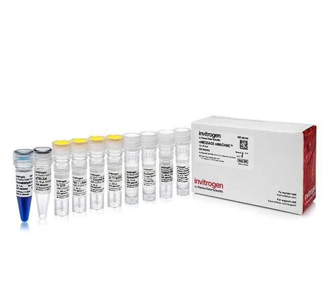 mMESSAGE mMACHINE™ T3 Transcription Kit