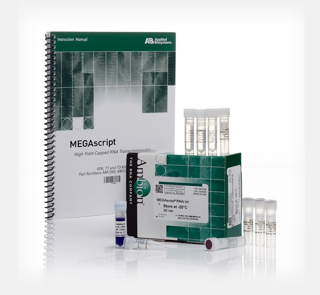 MEGAscript&trade; RNAi Kit