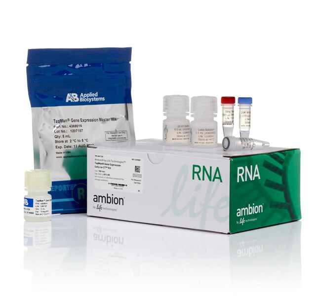 TaqMan&trade; 基因表达 Cells-to-C<sub>T</sub>&trade; 试剂盒
