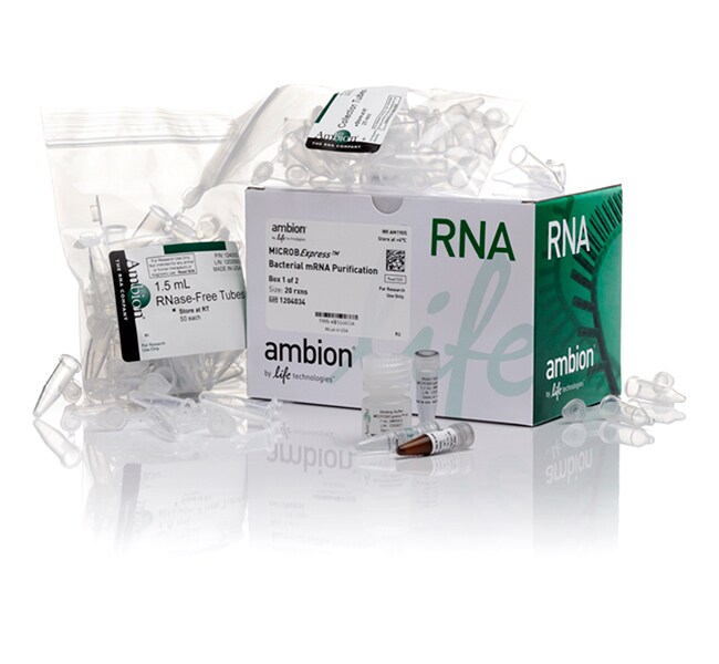 MICROB<i>Express</i>&trade; 细菌 mRNA 富集试剂盒