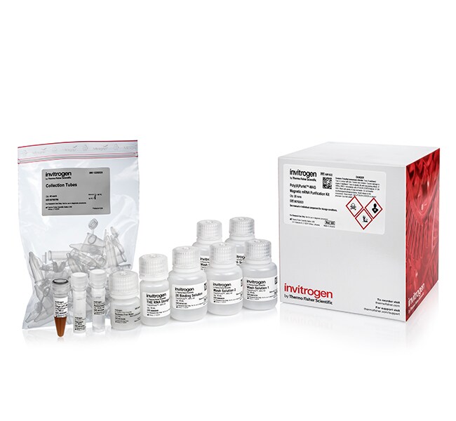 Poly(A)Purist&trade; MAG 试剂盒