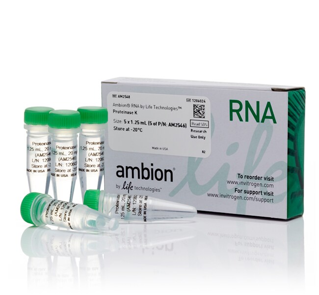 Recombinant Proteinase K Solution (20 mg/mL)