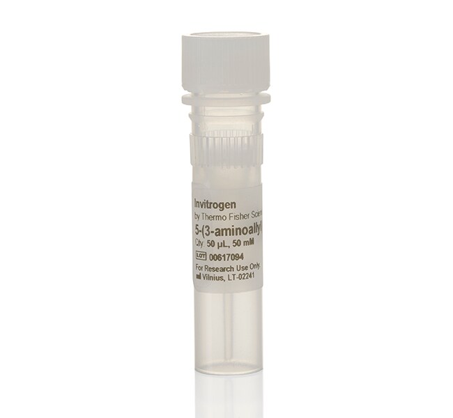 5-(3-氨基烯丙基)-UTP (50 mM)