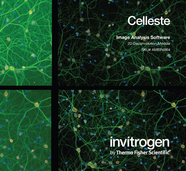Celleste™ 2D Deconvolution Package