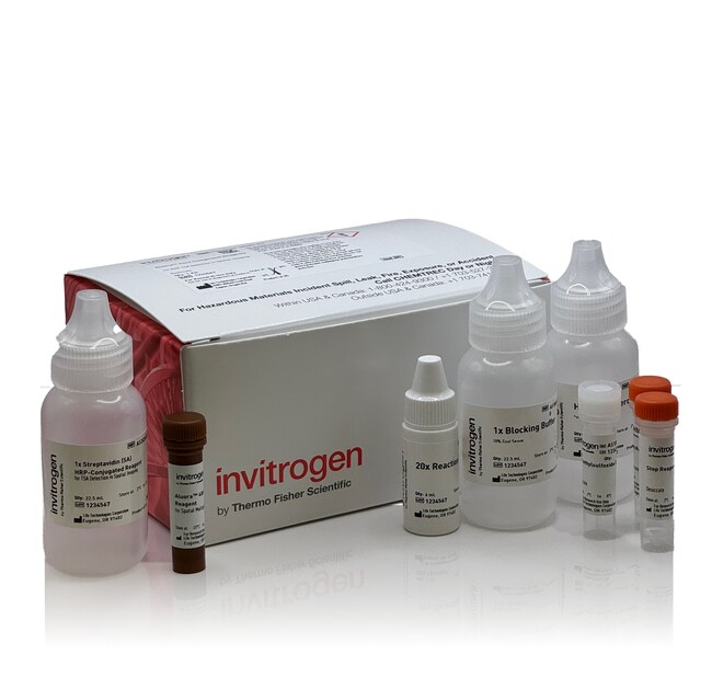 Aluora™ Spatial Amplification Streptavidin HRP Kits