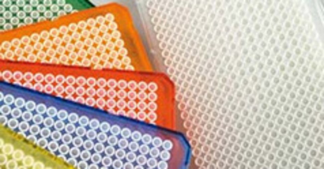 Armadillo PCR 板（384 孔，绿色，白色孔，带条形码）
