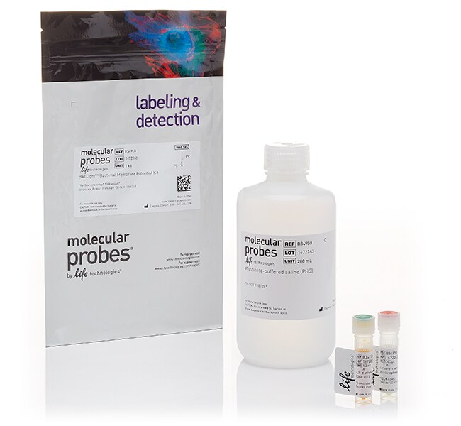 <i>Bac</i>Light&trade; 细菌膜电位检测试剂盒