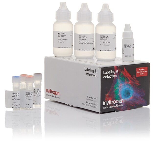 Alexa Fluor&trade; 488 酪胺 SuperBoost&trade; 试剂盒（山羊抗小鼠 IgG）