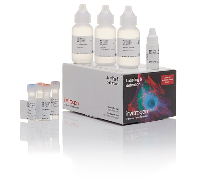 Biotin XX Tyramide SuperBoost&trade; Kit, Streptavidin