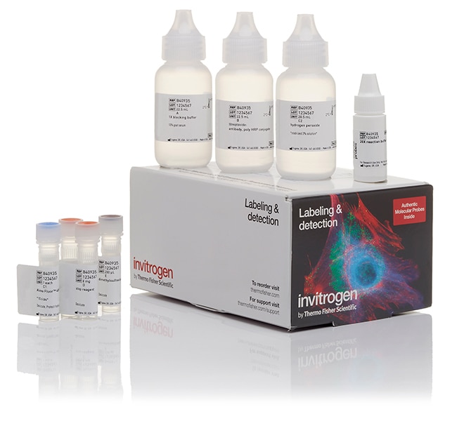 Alexa Fluor&trade; 594 Tyramide SuperBoost&trade; Kit, streptavidin