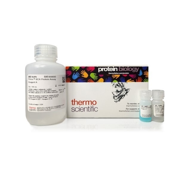 Pierce™ BCA Protein Assay Kits