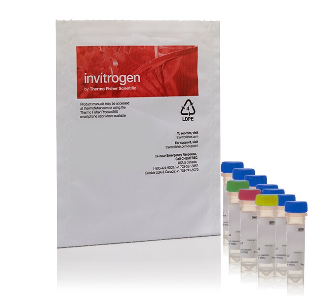 Image-IT&trade; LIVE Mitochondrial Transition Pore Assay Kit, for microscopy