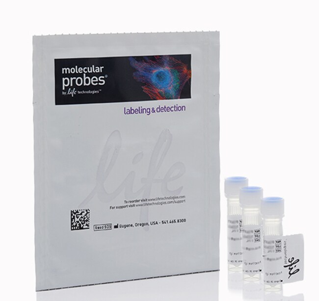 BrainStain&trade; Imaging Kit